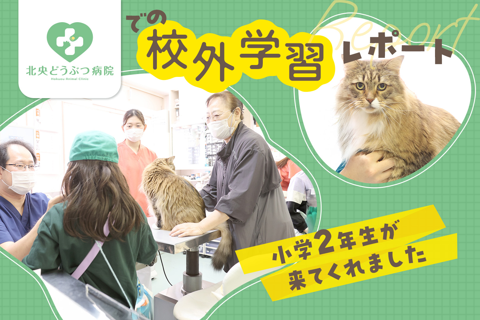 北央どうぶつ病院での校外学習レポート（小学校2年生が来てくれました）