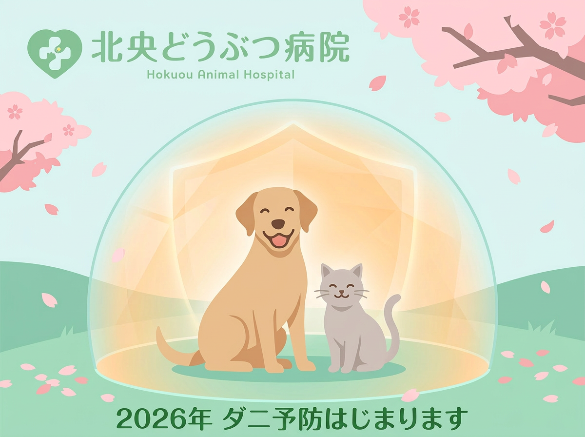 【2026年】4月1日よりダニ予防の受付を開始いたします