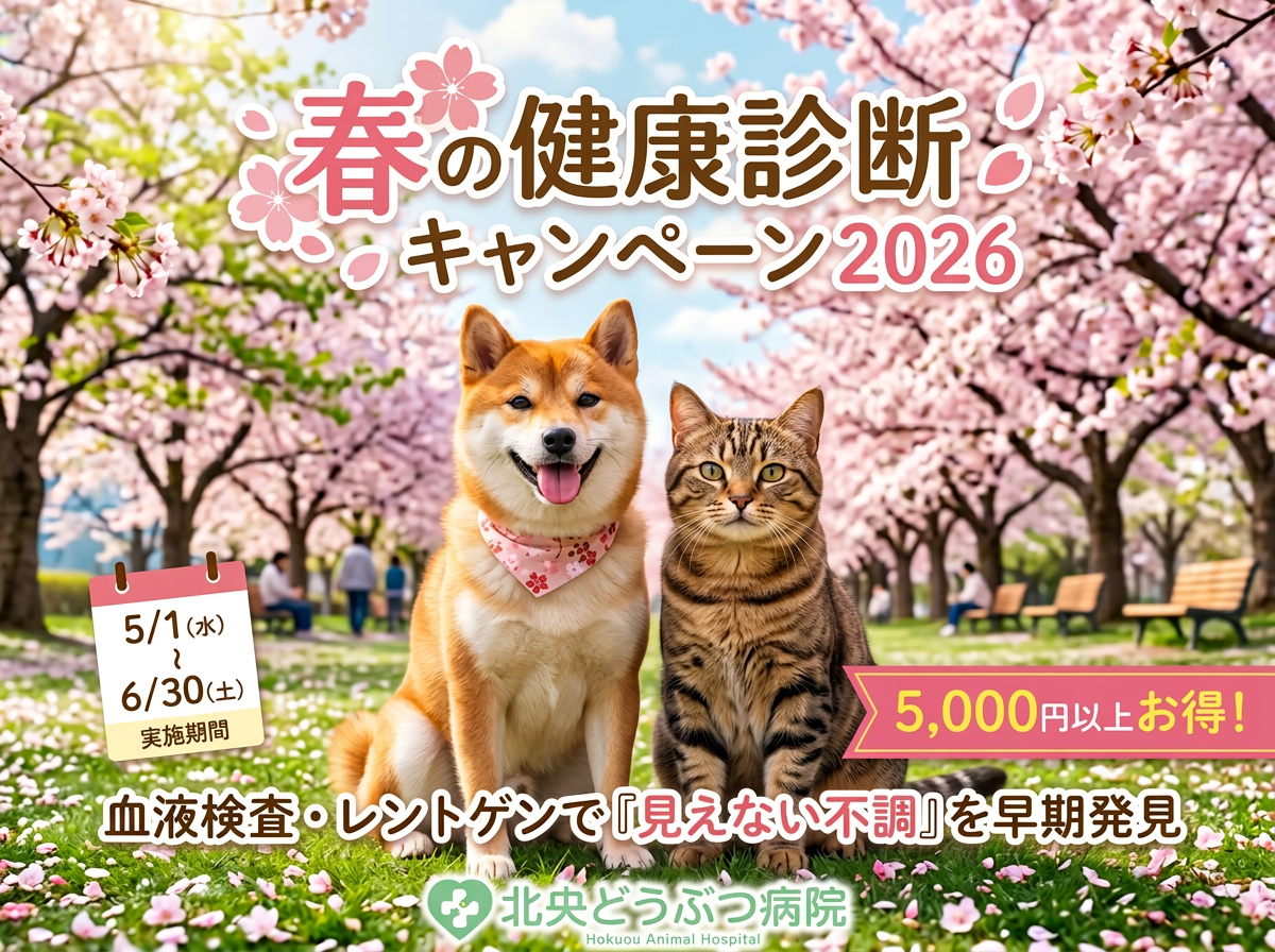 【2026年】春の健康診断キャンペーンのお知らせ【5月〜】