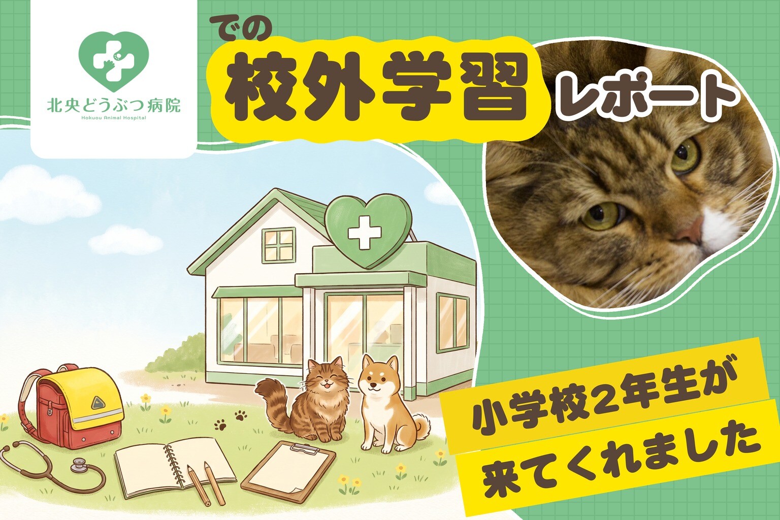 北央どうぶつ病院での校外学習レポート(今年も小学校2年生が来てくれました)